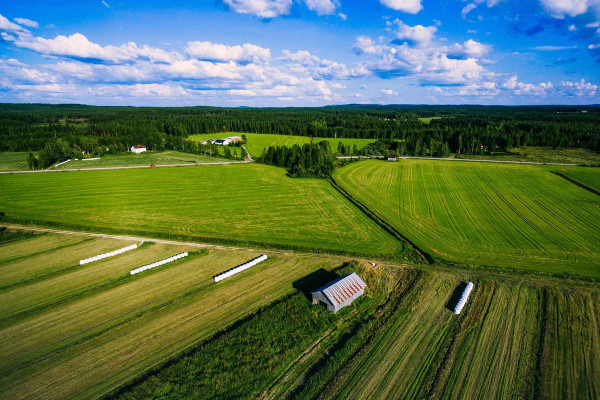 Segregar Fincas · Topógrafos Servicios Topográficos y Geomáticos Paterna del Campo